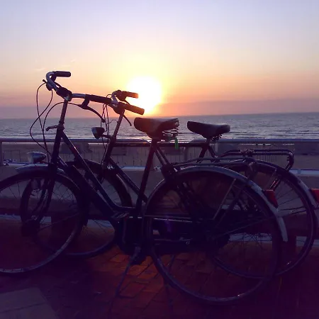 Maison Blanche 데한